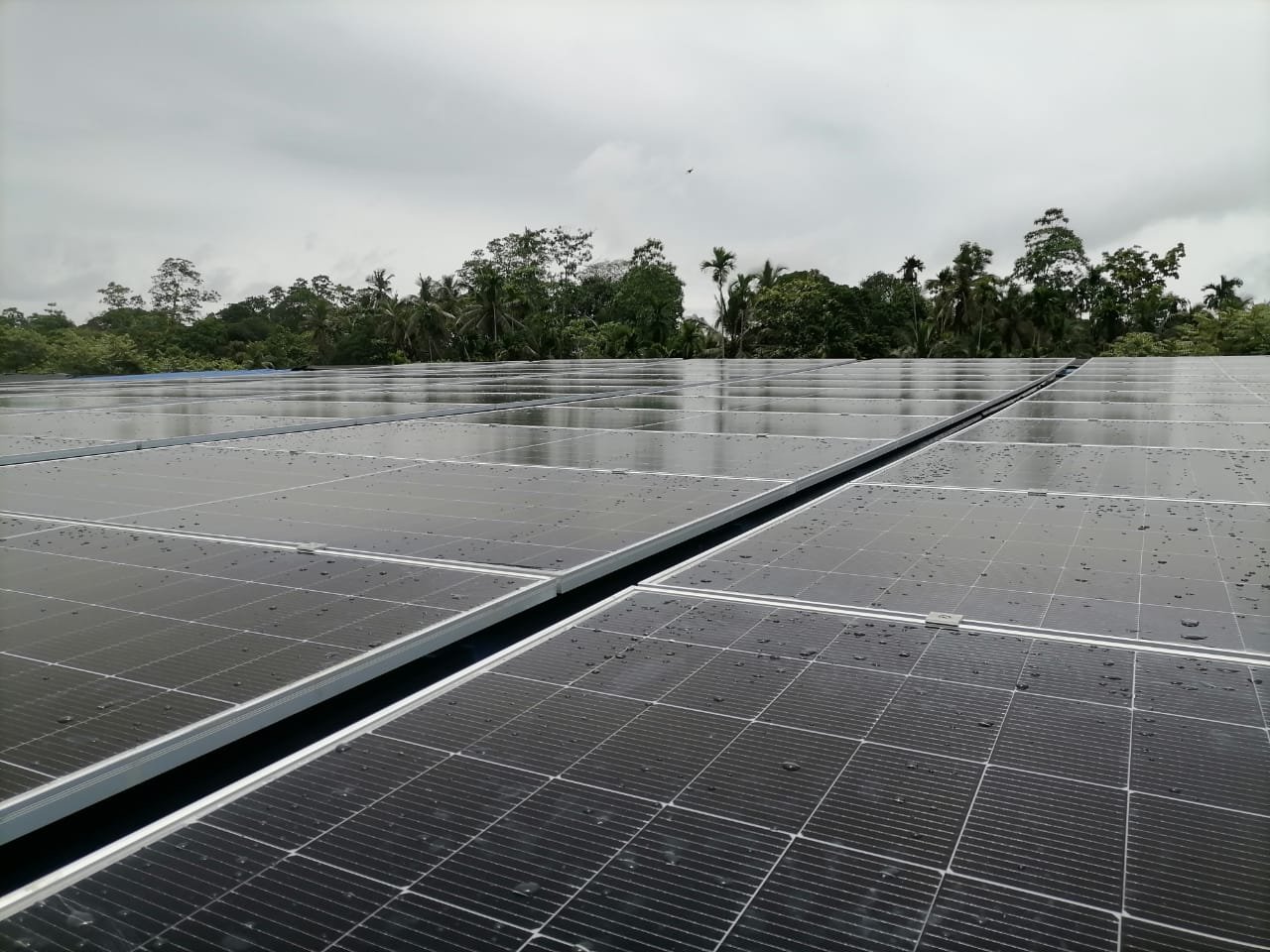 Residential Solar